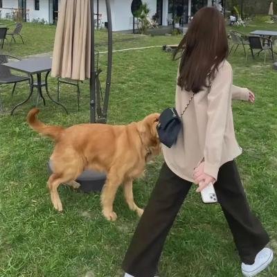 邓肯小镇第一季